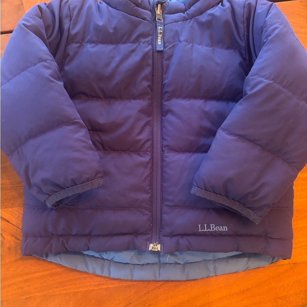 L.L. Bean Vibrant Blue Puffer Jacket
